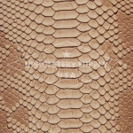 Exotic Serpiente Textured Vinyl