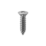 #10 Phillips Oval Head Tapping Screws (Chrome Finish)