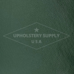 Champion Vinyl
