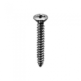 #6 Phillips Oval Head Tapping Screws (Chrome Finish)